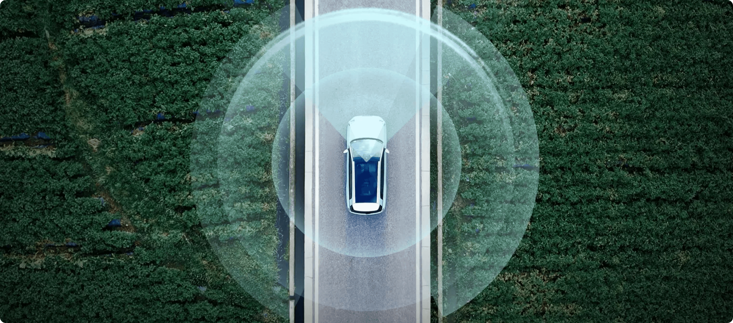 Top-down view of a car driving on a road with visualised sensor range around the vehicle