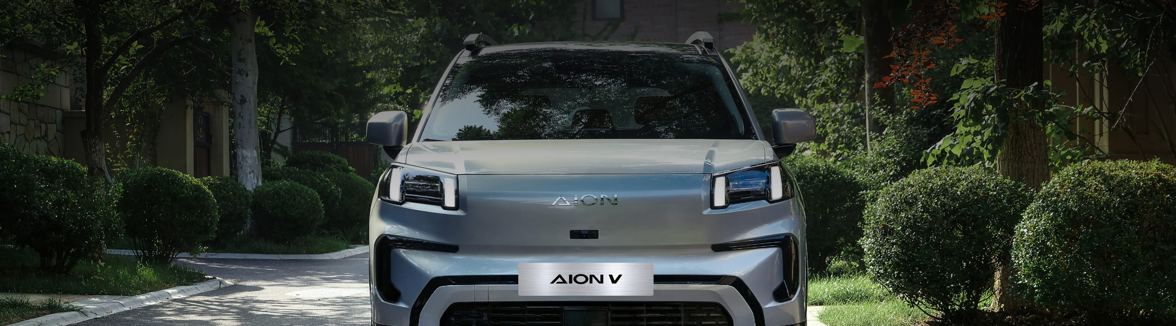 Decorative background image