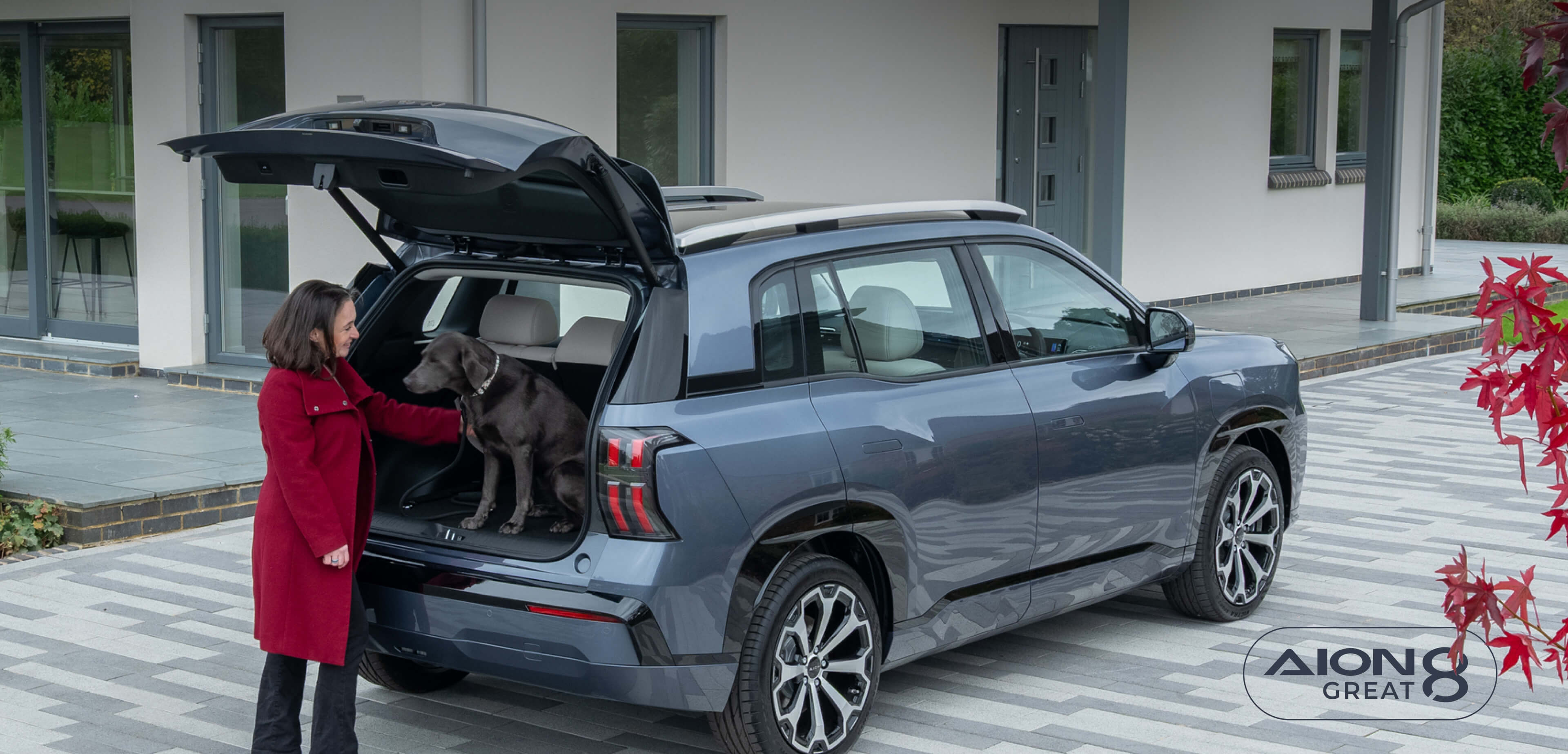 Decorative background image