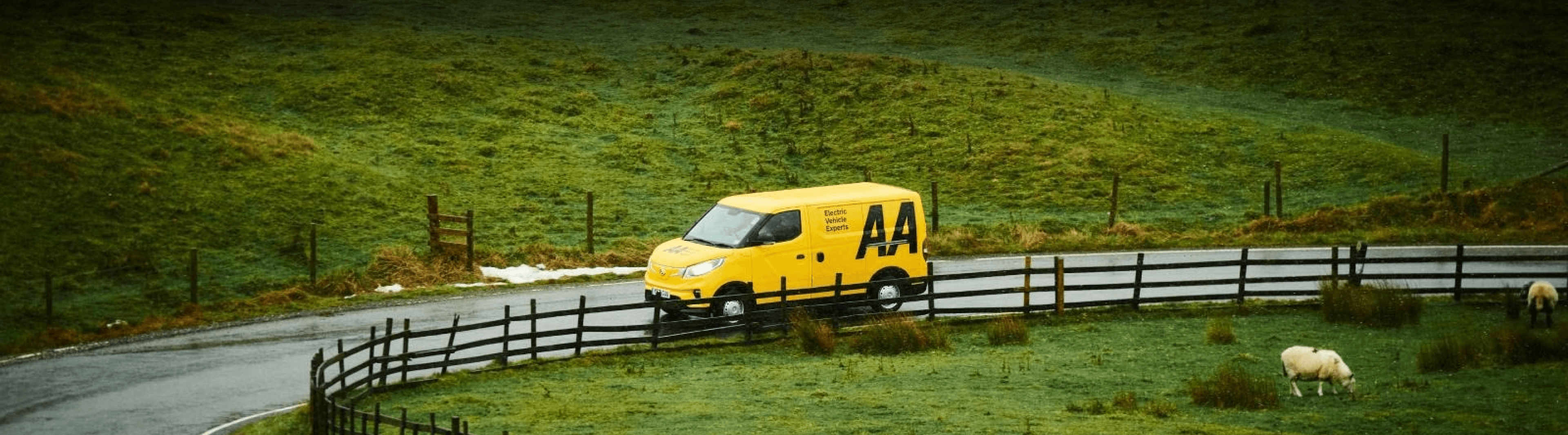 Decorative background image