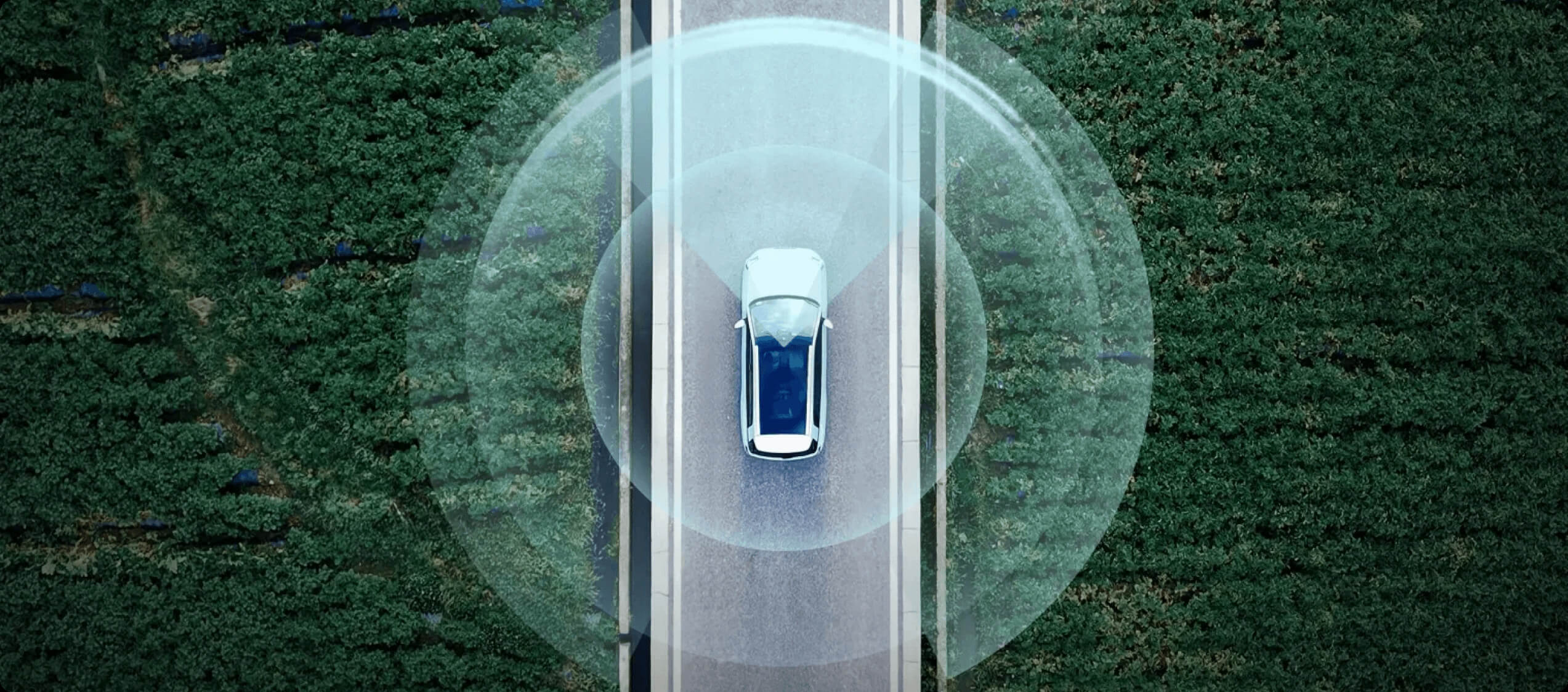 Top-down view of a car driving on a road with visualised sensor range around the vehicle